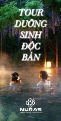 nuras dướng sinh độc bản nura