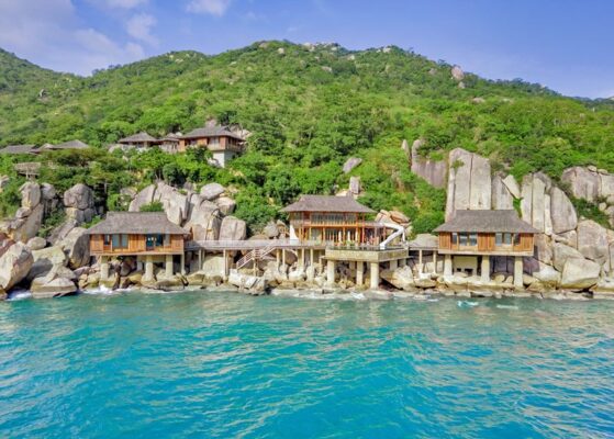 Sức khỏe và wellness