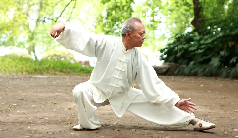 Thái cực quyền 