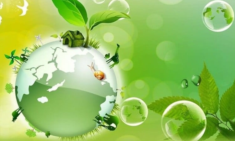 30 bí quyết sống khoẻ và trường thọ 13 Giữ cho môi trường sống luôn sạch sẽ