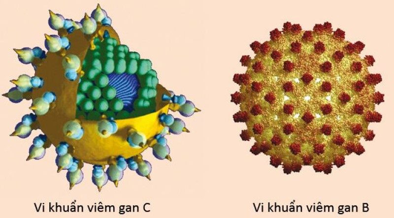 Sàng lọc bệnh lý lây truyền